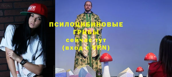 СК Алзамай