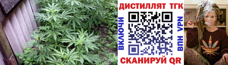 Дистиллят ТГК Wax  Новокубанск 