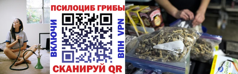 мега сайт  Новокубанск  Псилоцибиновые грибы Psilocybe  цена  