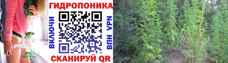 Бошки Шишки AK-47  Новокубанск 